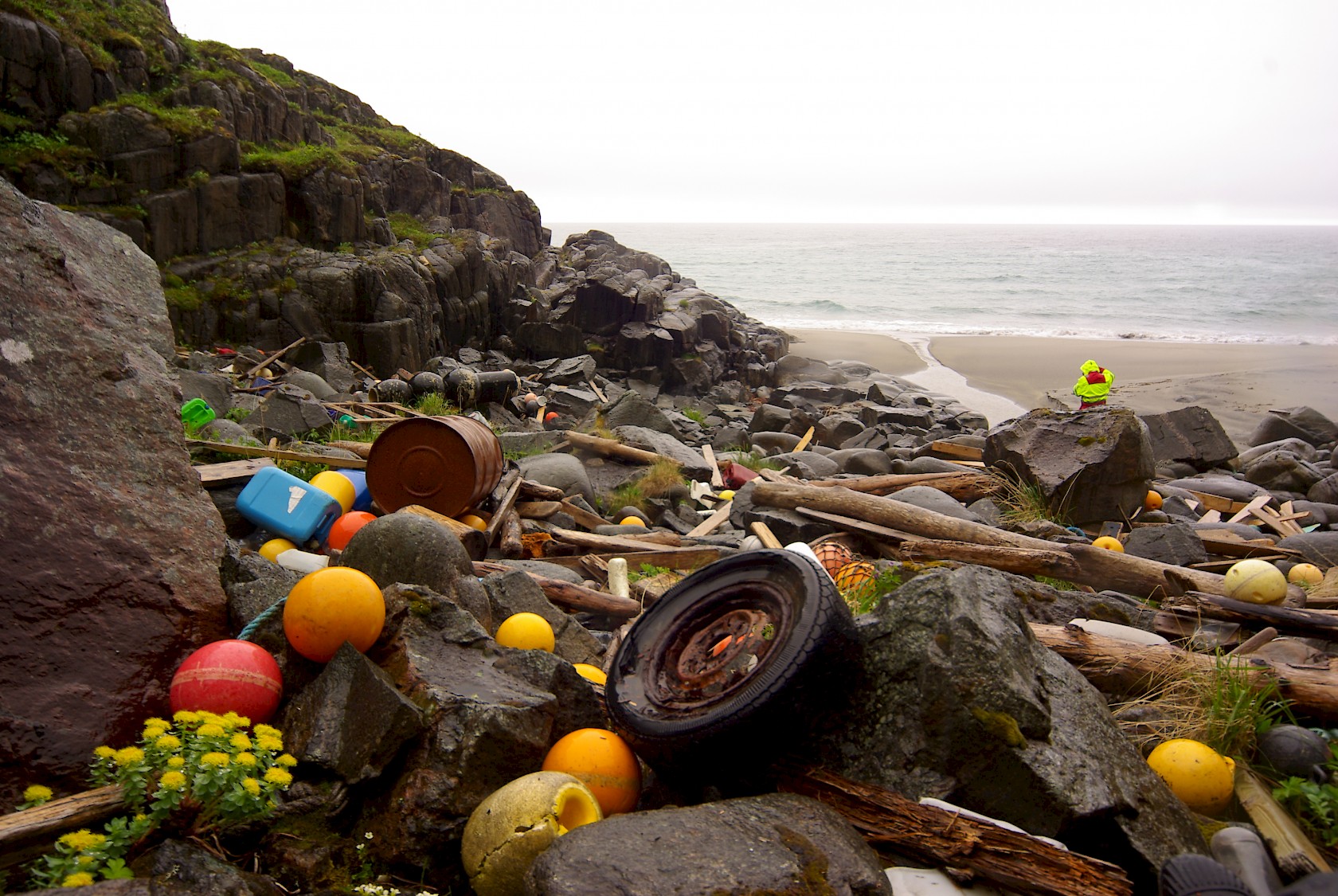 Marine litter презентация