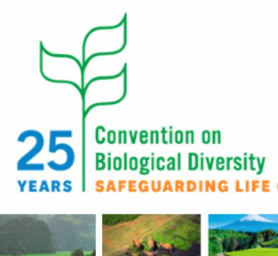 Regional Consultation On The Post-2020 Global Biodiversity Framework ...